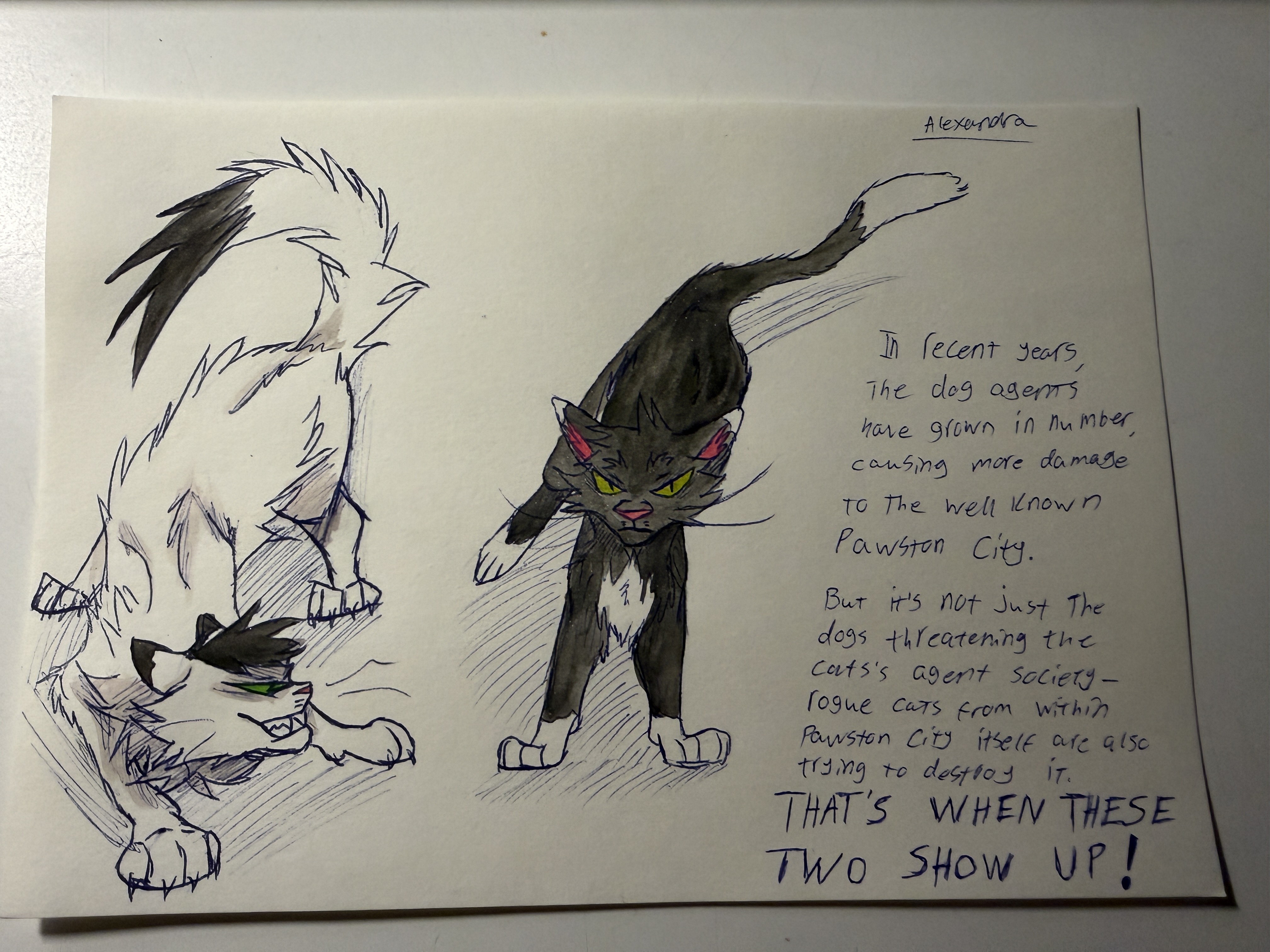 Watercolor and ink sketch of Indo and Star from Agent Cats